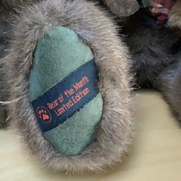 Limited Edition Russell Bear and Scarecrow ❤️ - Picture 2 of 5